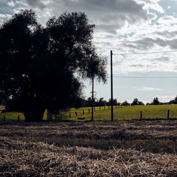 2023 08 19 17 21 28 DSCF6675 2