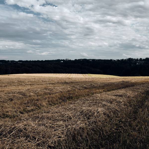 2023 08 19 17 22 36 DSCF6688 2